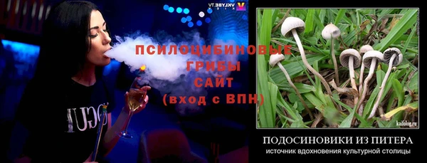 не бодяженный Горно-Алтайск