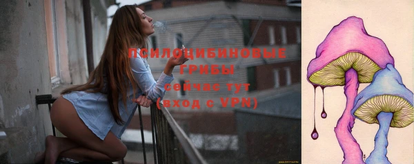 гидра Горнозаводск