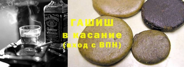 гидра Горнозаводск