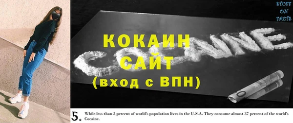 гидра Горнозаводск