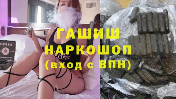 гидра Горнозаводск