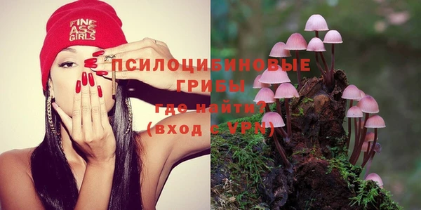 гидра Горнозаводск
