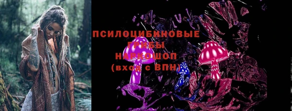 не бодяженный Горно-Алтайск