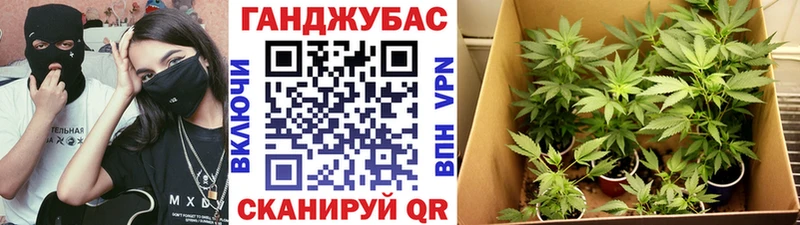 Купить где  Морозовск  Канабис SATIVA & INDICA 